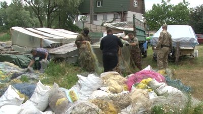 сітки сітки