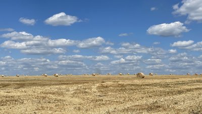 На Одещині завершилися жнива: зібрали понад 2,5 мільйони тонн врожаю