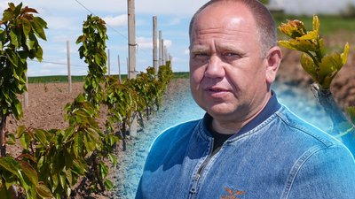 Садівник майже 20 років розвиває господарство на Миколаївщині