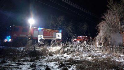 На Житомирщині на пожежі загинула мама з семирічною донькою