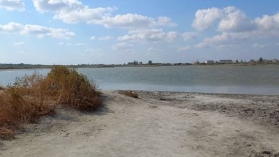 Санаторій "Гопри" на Херсонщині планують здати в оренду: які причини Санаторій "Гопри" на Херсонщині планують здати в оренду: які причини