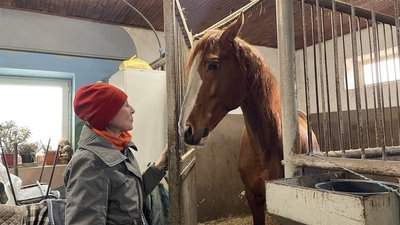 У Дніпрі на базі кінного клубу проводять іпотерапію для військових У Дніпрі на базі кінного клубу проводять іпотерапію для військових