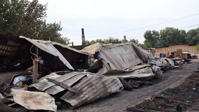 притулок для тварин пожежа
