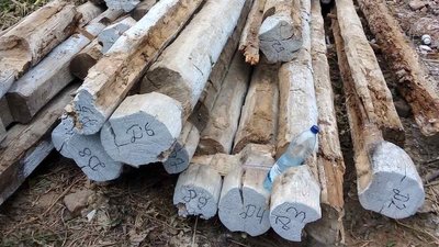 Рівненщина: 200 літній будинок тепер у музеї Рівненщина: 200 літній будинок тепер у музеї