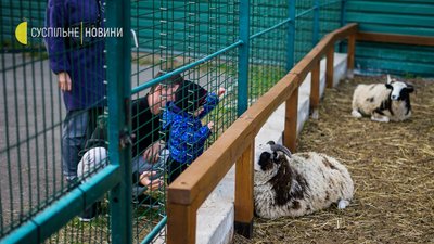 Віслюки, лами та борги за електрику: як живе Межигір'я. Фоторепортаж Віслюки, лами та борги за електрику: як живе Межигір'я. Фоторепортаж