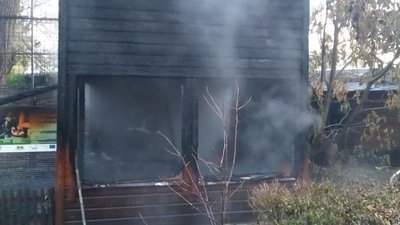 Загинули три мавпи: у Луцькому зоопарку сталася пожежа Загинули три мавпи: у Луцькому зоопарку сталася пожежа