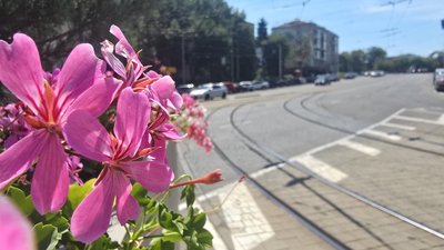 Рекорд температури у Вінниці