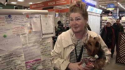 Жителька Маріуполя з сином та собакою дістались Бердянська автостопом
