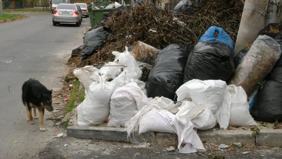 Через непорозуміння між двома ЖЕКами у Херсоні виникло стихійне звалище Через непорозуміння між двома ЖЕКами у Херсоні виникло стихійне звалище