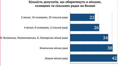 Місцеві вибори-2020: скільки депутатів мають обрати волиняни