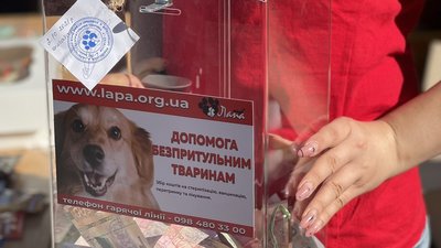 У Рівному проходить фотовиставка безпритульних тварин