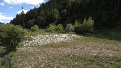 Сміттєзвалище у селі Бережниця Сміттєзвалище у селі Бережниця