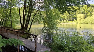 став, міст озеро, ставок, місток, природа
