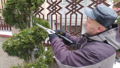 Садівник із Тернопільщини розповів, як робити весняну обрізку дерев