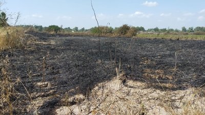 Для пошуку причини запаху згарища в Сумах створили комісію