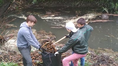 Луцькі комунальники, чиновники та вчителі зібрались на толоку