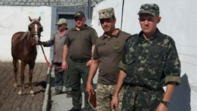 Креативні пенетенціарники: у виправній колонії на Запоріжжі шукали підкопи за допомогою коня