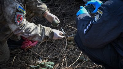 У Запоріжжі виявили десять бойових гранат неподалік від навчального закладу