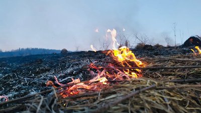 Минулої доби на Франківщині горіли 2,8 га сухостою. Рятувальники закликають припинити підпали