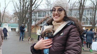 "Взяла на руки, і все — моє". У Миколаєві організували виставку-прилаштування тварин "Взяла на руки, і все — моє". У Миколаєві організували виставку-прилаштування тварин