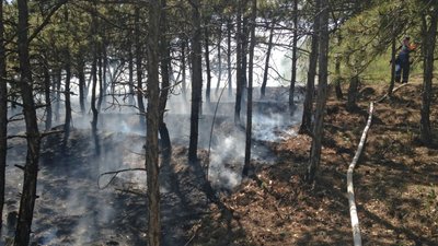На Полтавщині оголосили надзвичайний рівень пожежної небезпеки