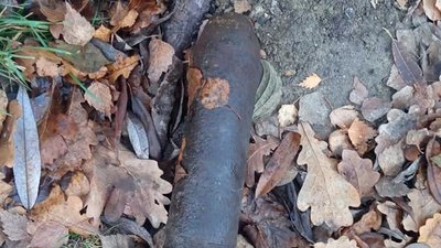 На Хмельниччині грибники знайшли у лісі снаряди