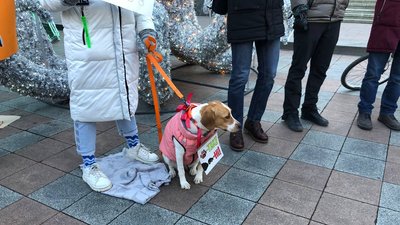 Містяни мітингують за збереження пішохідної зони в центрі Одеси