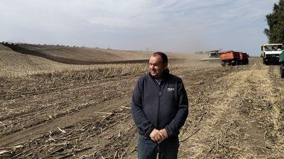 Волинь у п'ятірці областей з урожайністю соняшника: обмолотили 3 тисячі гектарів Волинь у п'ятірці областей з урожайністю соняшника: обмолотили 3 тисячі гектарів