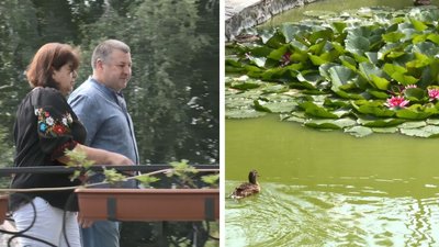 Пам'ятник Шевченку і будиночок для качок: черкащанин облаштував у своєму дворі мінідендропарк
