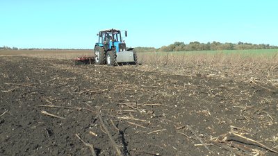 Пізні зернові культури врожай збір Донецька область Пізні зернові культури врожай збір Донецька область