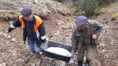 На Франківщині волонтери облаштували туристичний маршрут до бункера полковника УПА Грома На Франківщині волонтери облаштували туристичний маршрут до бункера полковника УПА Грома