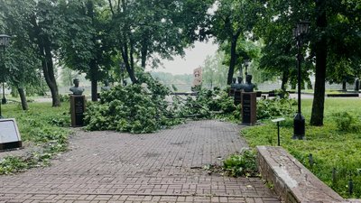 Повалені близько 40 дерев та знеструмлені мікрорайони: у Прилуках ліквідовують наслідки буревію