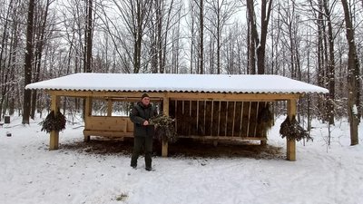 Понад дві сотні підгодівельних комплексів для диких тварин облаштували в лісництвах Житомирщини Понад дві сотні підгодівельних комплексів для диких тварин облаштували в лісництвах Житомирщини