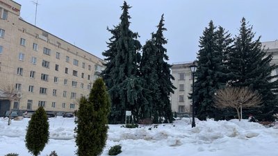 Житомир, погода, зима, лютий 2026 року