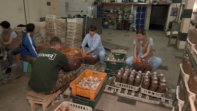 На Черкащині вирощують гриби ерінги На Черкащині вирощують гриби ерінги