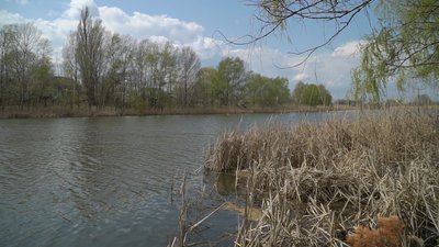 «Піноподібна маса з хімічним запахом». Хто забруднює озеро Куряче в Дніпрі – репортаж