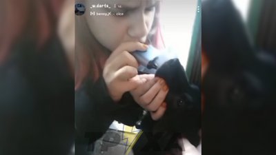На Чернігівщині батьків трьох малолітніх дітей притягнули до відповідальності за жорстоке поводження з собакою