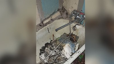 У Дніпрі двоє чоловіків намагалися самостійно ліквідувати пожежу та отримали опіки