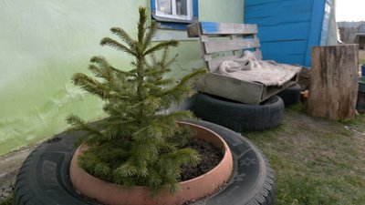Переселенка з Бахмута живе на Черкащині Переселенка з Бахмута живе на Черкащині