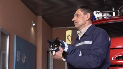 кєшка кєшка