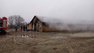 Пожежа ферми на Чернігівщині: врятували 30 тварин та майже півсотні птахів