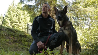 Обстежили понад тисячу гектарів лісу. Як на Буковині шукають зниклого грибника Обстежили понад тисячу гектарів лісу. Як на Буковині шукають зниклого грибника