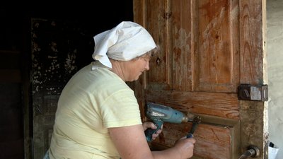 Толока в Моринцях
