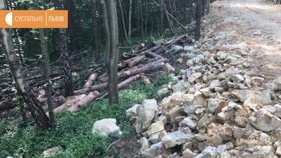 Будівництво під’їзної дороги через ліс неподалік Страдчу розслідують правоохоронці Будівництво під’їзної дороги через ліс неподалік Страдчу розслідують правоохоронці