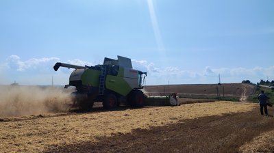 Рівненщина жнива