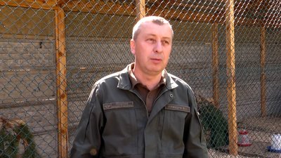 На Житомирщині облаштували перший в області фазанарій На Житомирщині облаштували перший в області фазанарій