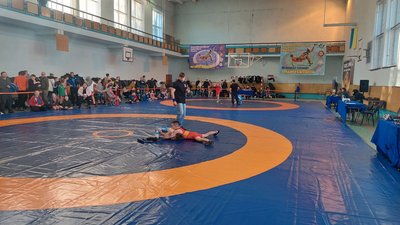 Турнір з вільної боротьби