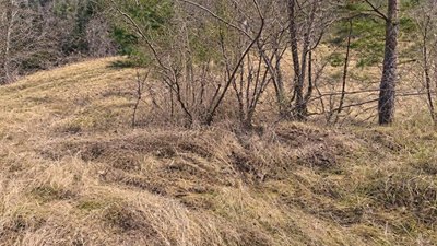 прокуратура, земля, чортків, більче-золоте, кримінал
