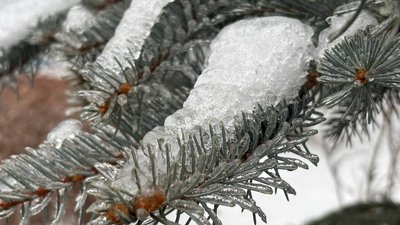 Сніг в одному з парків Львова