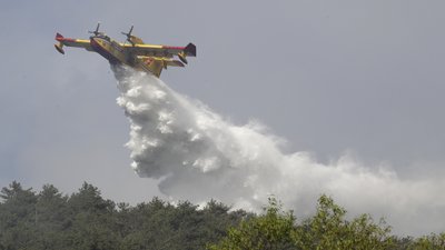 Неподалік Риму спалахнула лісова пожежа, десятки родин евакуювали